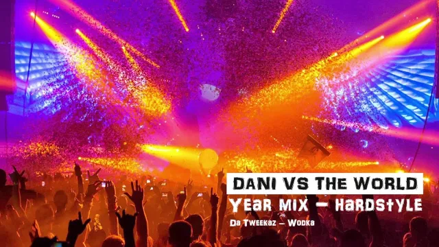 Artwork: Dani vs the World - 2015 Year Mix
