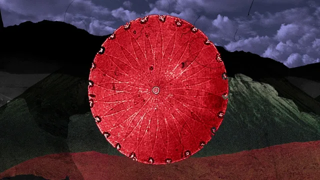 Artwork: Phuture Noize - Silver Bullet [full album visualizer]
