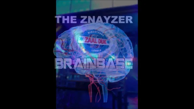 Artwork: The Znayzer @ Brainbase