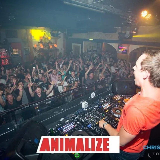 Artwork: Roman Anthony @ Animalize