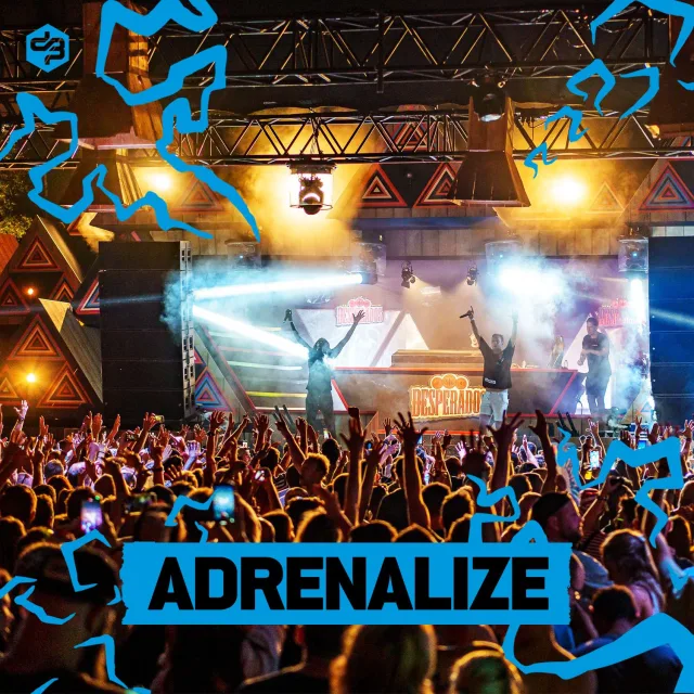 Artwork: Adrenalize @ Decibel Outdoor 2022 (Euphoric, Saturday)