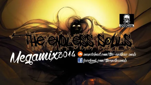 Artwork: The Endless Souls - Megamix 2014