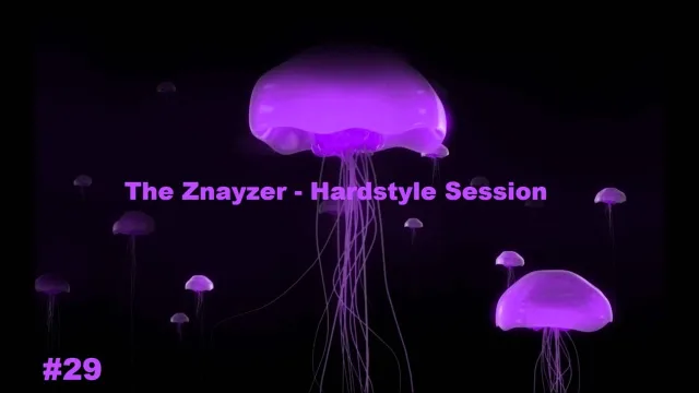 Artwork: The Znayzer - Hardstyle #29