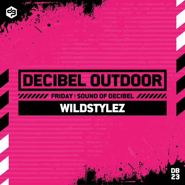 Artwork: Wildstylez @ Decibel outdoor 2023