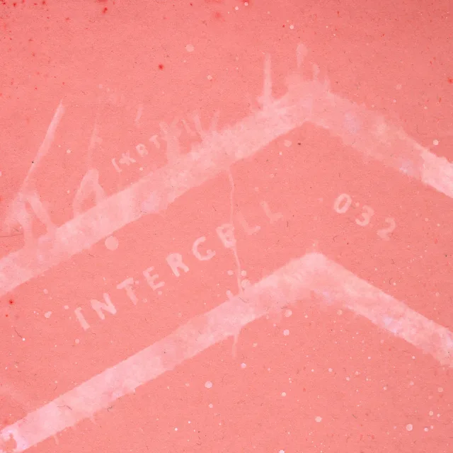 Artwork: [KRTM] - Intercell Podcast #032