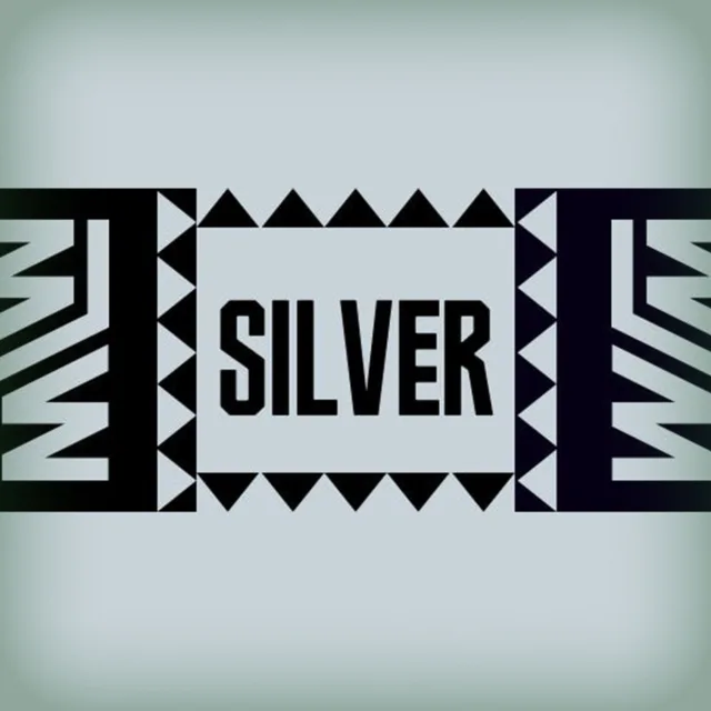 Artwork: Wavolizer - Wavolizer's Defqon.1 Silver Afterglow Mix 2023