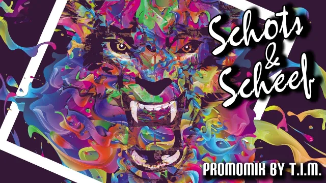 Artwork: T.I.M - Schots & Scheef Promomix