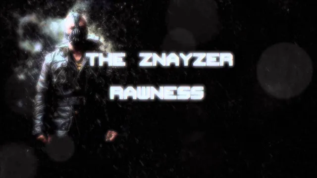 Artwork: The Znayzer - 30 Minutes Of Rawness