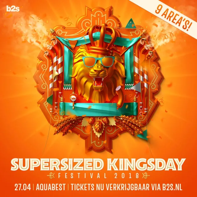Artwork: Sound Rush @ Supersized Kingsday Festival 2017