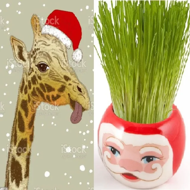 Artwork: DJ Bloempot - DJ Bloempot & DJ Giraffe present de ultieme zippy megamiks (kerstspecial)