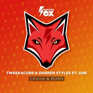 Cover: Tweekacore & Darren Styles & Giin - Crash & Burn