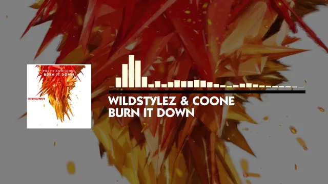 Cover: Wildstylez & Coone - Burn It Down