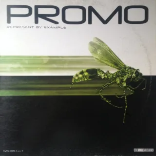 Cover: Promo - Represent By Example