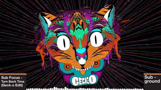 Cover: Sub Focus - Turn Back Time (Geck-o Edit)