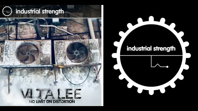 Cover: Vi Ta Lee - No Limit On Distortion