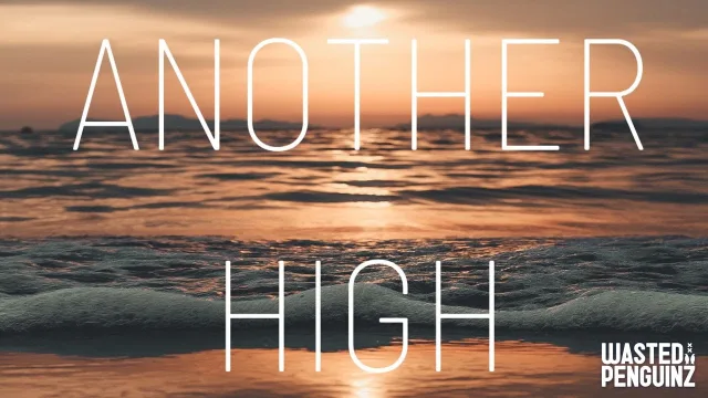 Cover: Wasted Penguinz - Another High