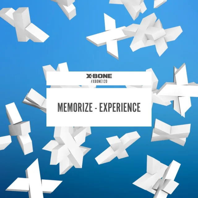 Cover: Memorize - Experience