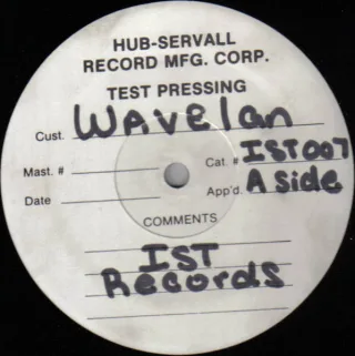 Cover: Wavelan - It Will Stand
