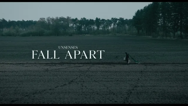 Cover: Unsenses ft. Nino Lucarelli - Fall Apart