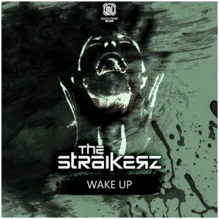 Cover: The Straikerz - Wake Up