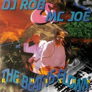 Cover: DJ Rob - The Beat Is Flown (Remixes)