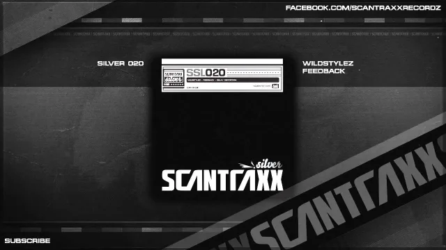 Cover: Wildstylez - Feedback/Delay Distortion