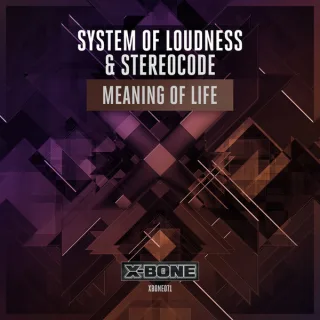Cover: System Of Loudness & Stereocode - Meaning Of Life
