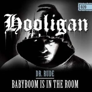 Cover: Dr Rude - Babyboom Is In The Room
