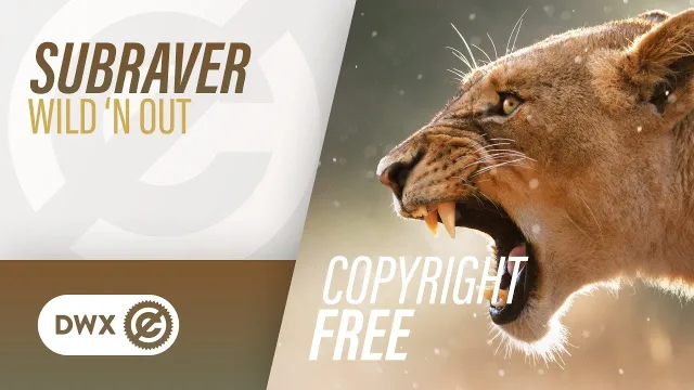 Cover: Subraver - Wild 'N Out