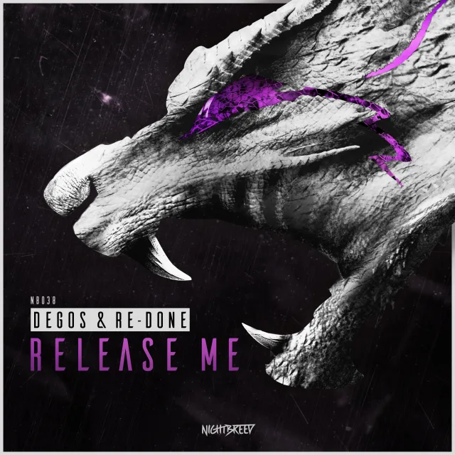 Cover: Degos & Re-Done - Release Me