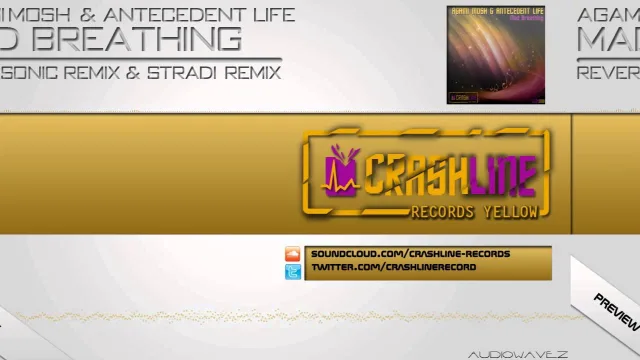 Cover: Agami Mosh & Antecedent Life Giveaway !