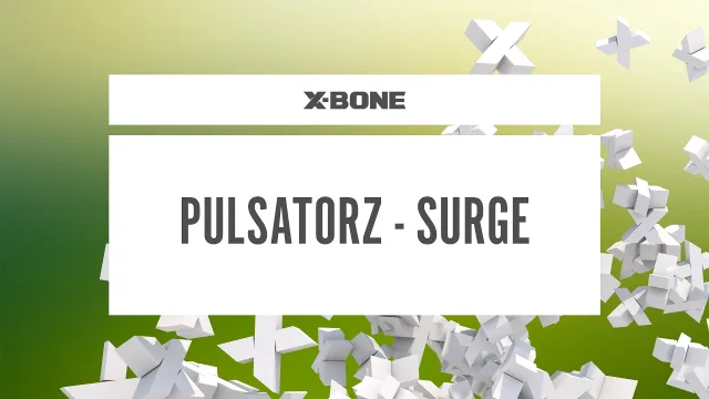 Cover: Pulsatorz - Surge