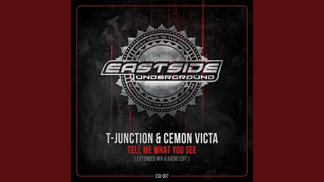 Cover: T-Junction & Cemon Victa - Tell Me What You See