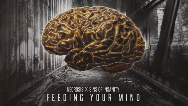 Cover: Necrosis & Sins Of Insanity - Feeding Your Mind