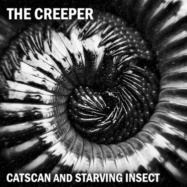 Cover: Party Animals - Have you ever been mellow (Catscan Refix)