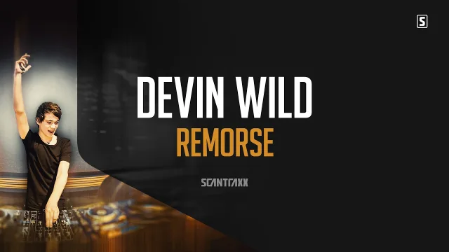 Cover: Devin Wild - Remorse
