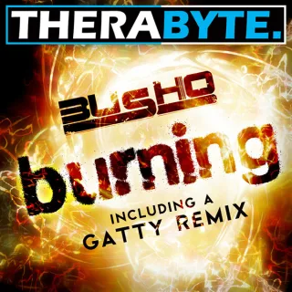Cover: Busho - Burning