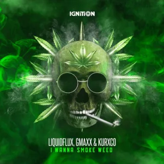 Cover: Liquidflux & GMaxx & Kurxco - I Wanna Smoke Weed