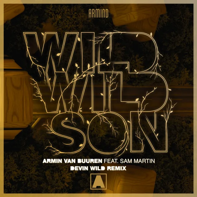 Cover: Armin van Buuren ft. Sam Martin - Wild Wild Son (Devin Wild Remix)