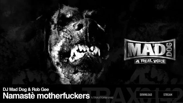 Cover: DJ Mad Dog - A Real Voice
