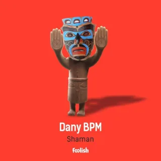 Cover: Dany BPM - Shaman