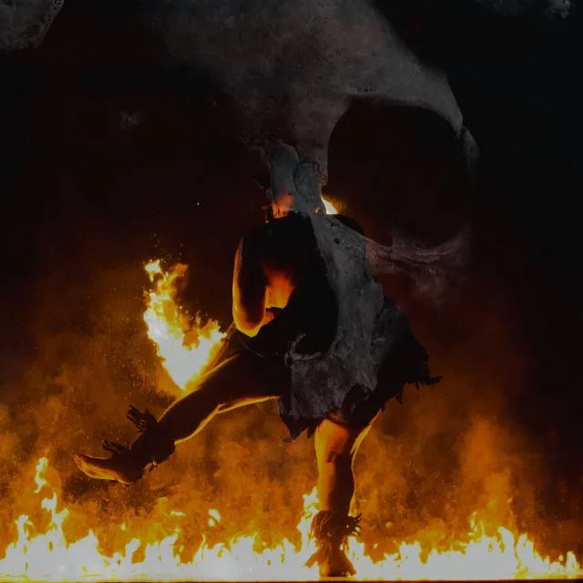 Cover: Natrion - Danza De La Muerte