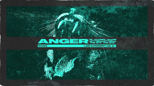 Cover: SVANE - Anger