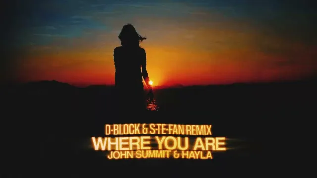 Cover: John Summit & Hayla - Where You Are (D-Block & S-te-Fan Remix)