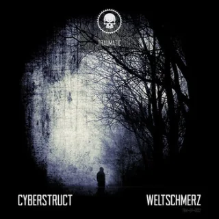 Cover: Cyberstruct - Weltschmerz