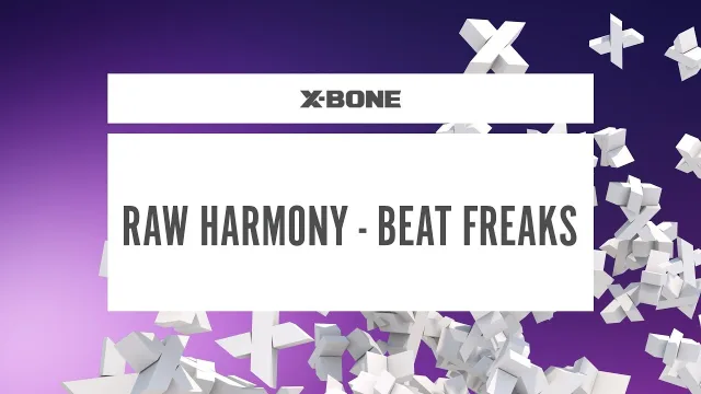 Cover: Raw Harmony - Beat Freaks