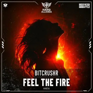 Cover: Bitcrushr - Feel The Fire