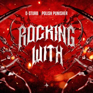 Cover: D-Sturb & Polish Punisher - Rocking With