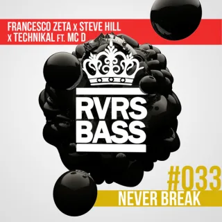 Cover: Francesco Zeta & Steve Hill vs Technikal - Never Break
