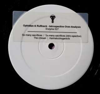 Cover: Ophidian & Ruffneck - Introspective Over-Analysis